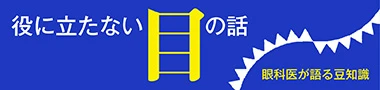 役に立たない目の話